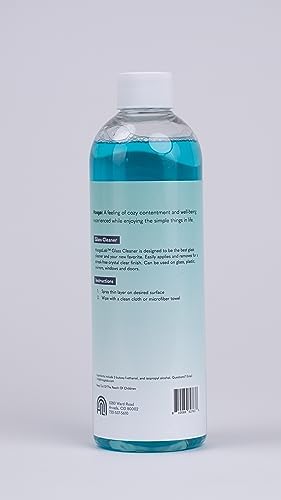 HoogaLab 16oz Glass Cleaner 2 Pack 1