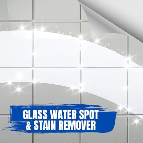 Goodscious Bruces GSR Heavy Duty Glass Cleaner 10 oz