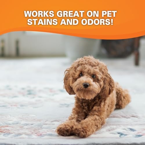 Krud Kutter CR012 Instant Carpet Cleaner Stain Remover Deodorizer 1