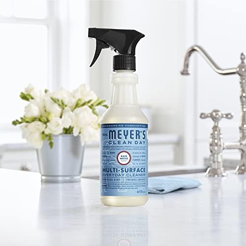 Mrs Meyers Clean Day Multi-Surface Cleaner with Rain Water Scent
