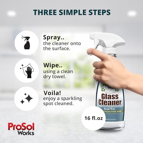 PROSOL WORKS Glass Cleaner 16 oz - Multi-Surface Streak-Free Spray