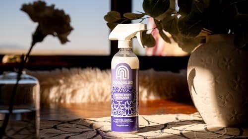 HoogaLab Water Spot Remover 16oz 2 Pack Glass Cleaner