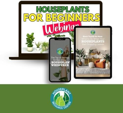 Houseplant Leaf Shine Cleaner Wipes - 30 Count