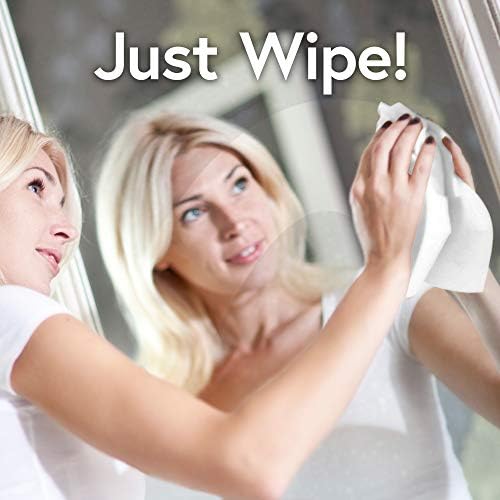 Windex Glass and Multi-Surface Cleaning Wipes 28 Count - Pack of 6