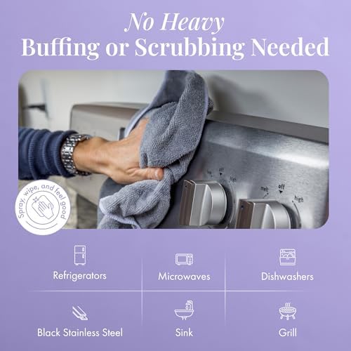 Therapy 2-Pack Stainless Steel Cleaner Polish