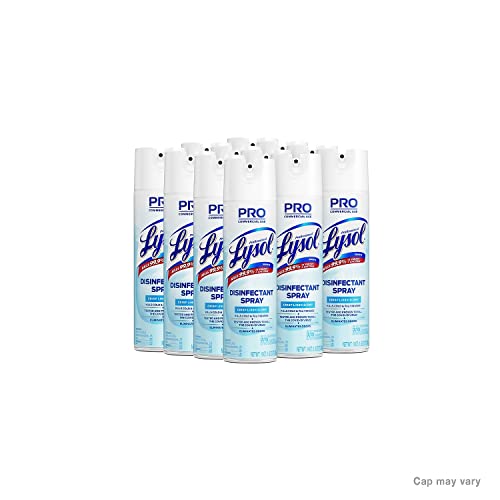 Lysol Disinfectant Spray 19 Fl Oz Multi-Purpose 1