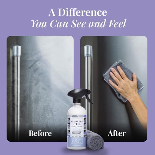 Therapy 2-Pack Stainless Steel Cleaner Polish