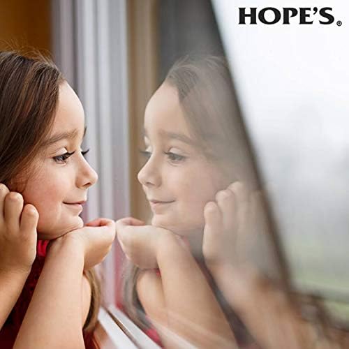 HOPES Perfect Glass Cleaner 32 Fl Oz