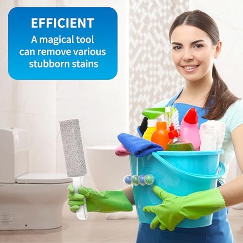 4TH Pumice Stone Toilet Cleaner with Handle 2 Piece