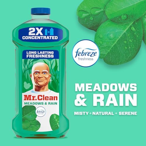 Mr Clean 2X Concentrated All Purpose Cleaner 41oz 1