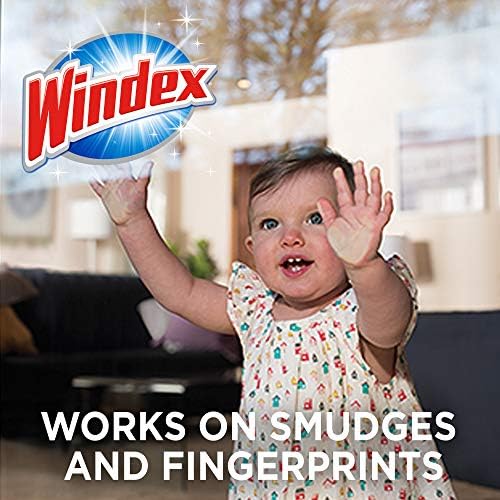 Windex Glass and Multi-Surface Cleaning Wipes 28 Count - Pack of 6