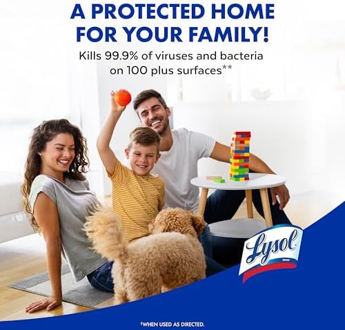 Lysol Disinfectant Spray 19 Fl Oz Pack of 2