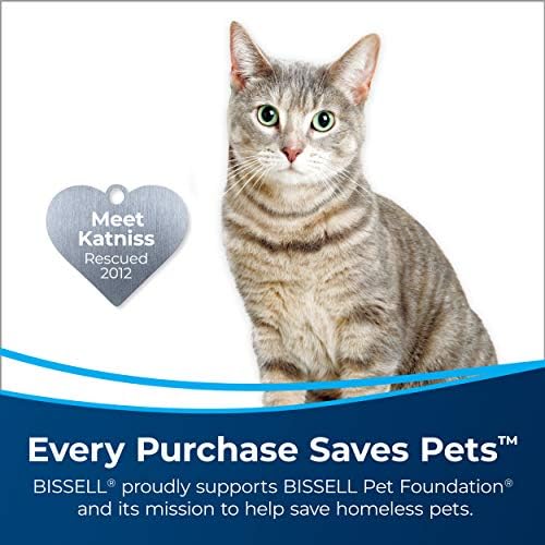 Bissell Pet Stain Remover 22 Oz 2 Pack
