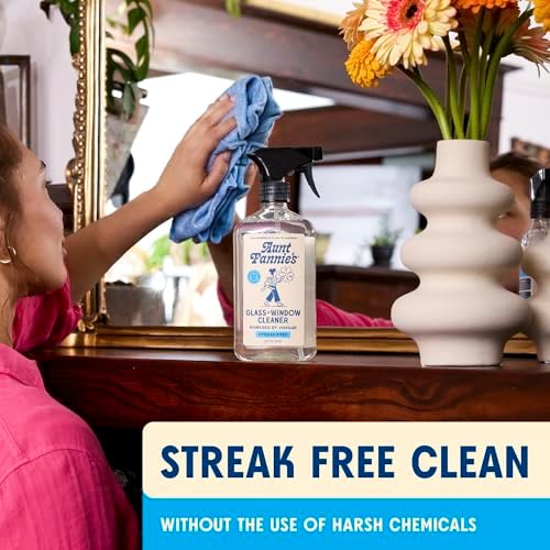Aunt Fannies Streak-Free Vinegar Glass Cleaner 169 Oz Pack of 3