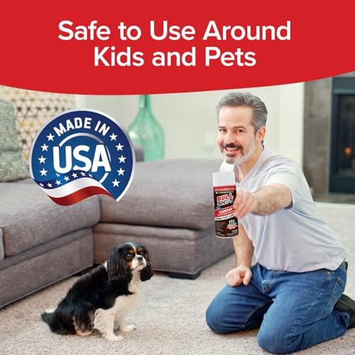 Bull Shot Carpet Stain Remover - Made in USA