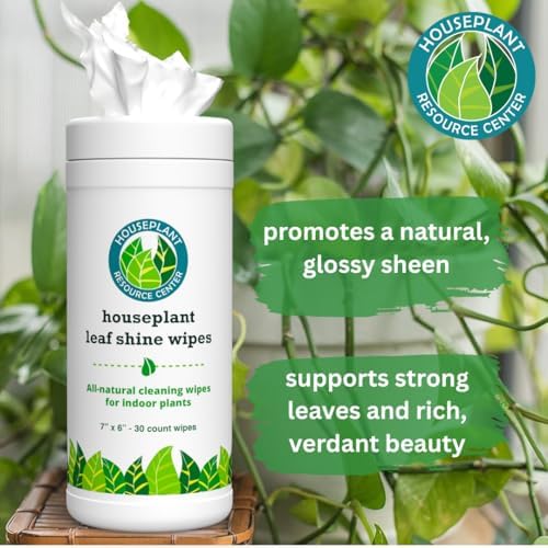 Houseplant Leaf Shine Cleaner Wipes - 30 Count