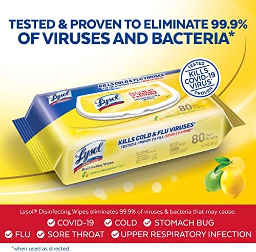 Lysol Disinfectant Handi-Pack Wipes 480 Count