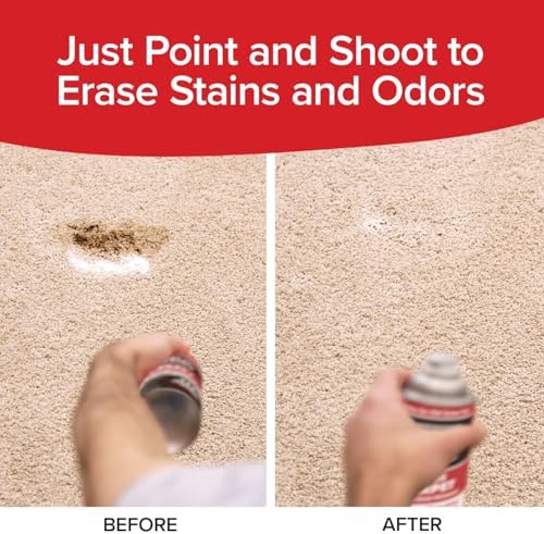Bull Shot Carpet Stain Remover - Made in USA