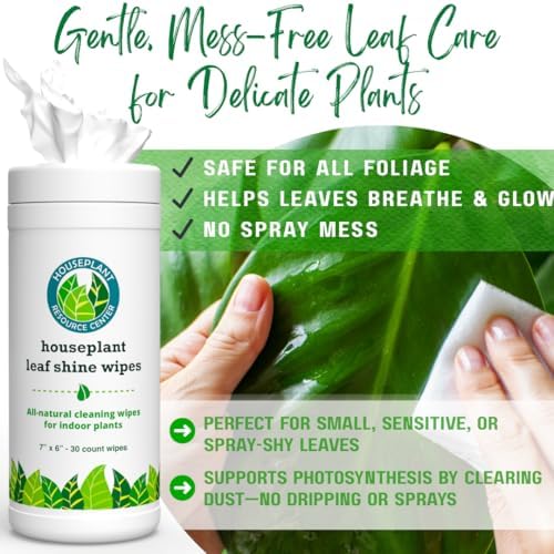 Houseplant Leaf Shine Cleaner Wipes - 30 Count