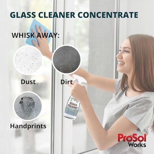 PROSOL WORKS Glass Cleaner 16 oz - Multi-Surface Streak-Free Spray