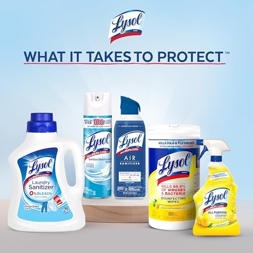 Lysol Disinfectant Spray 19 Fl Oz Pack of 2