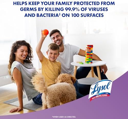 Lysol Disinfectant Spray with Lavender Scent 19 Oz Pack of 2