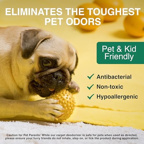 Good Natured Brand Carpet Deodorizer 31 oz Pet Safe