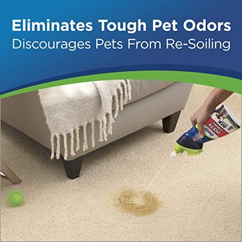 Woolite InstaClean Pet Stain Remover 18 Fl Oz