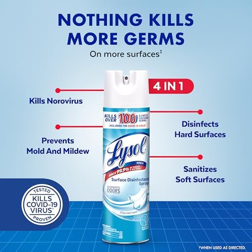 Lysol Disinfectant Spray 19 Fl Oz Pack of 2