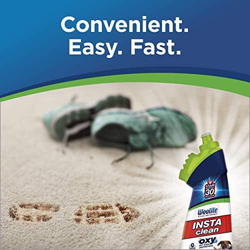 Woolite InstaClean Pet Stain Remover 18 Fl Oz