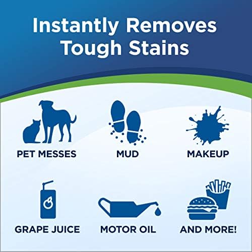 Woolite InstaClean Pet Stain Remover 18 Fl Oz