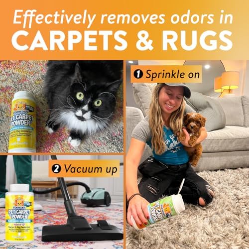 Bodhi Dog Natural Carpet Deodorizer Powder - Pack of 1