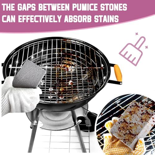 Sankoly 9 Pack Pumice Stones with Handle Cleaning Set