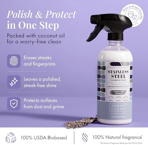 Therapy 2-Pack Stainless Steel Cleaner Polish