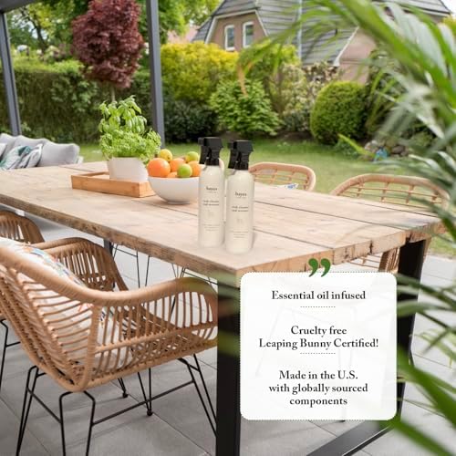 Bayes Teak Cleaner Restorer 16 oz 1-Pack