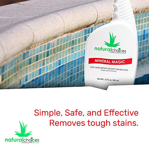 YISHIQI Natural Choices Lime Rust Remover 32 Oz