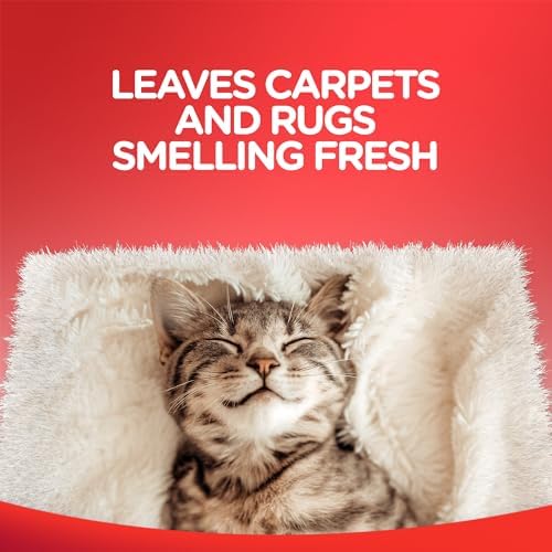 Resolve Carpet Cleaner Spray 22 Ounce