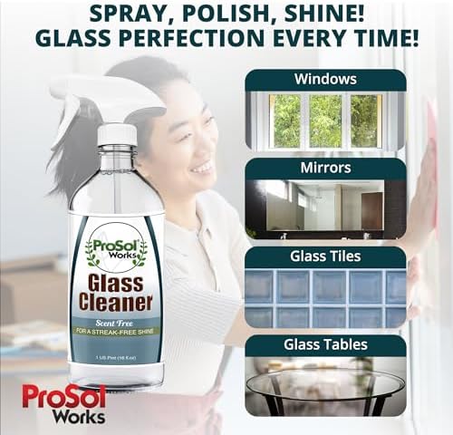 PROSOL WORKS Glass Cleaner 16 oz - Multi-Surface Streak-Free Spray