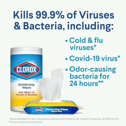 Clorox Disinfecting Wipes Value Pack 75 Count Pack of 2