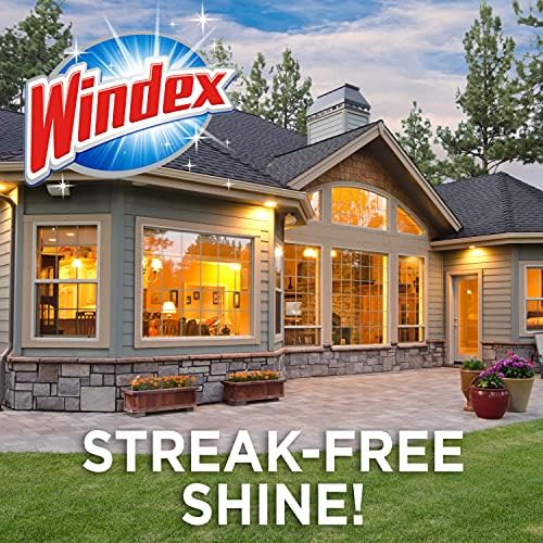 Windex Outdoor Glass Cleaner 32 Fl Oz Pack of 2